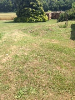 2018 06 20 fauchage aire de lavage