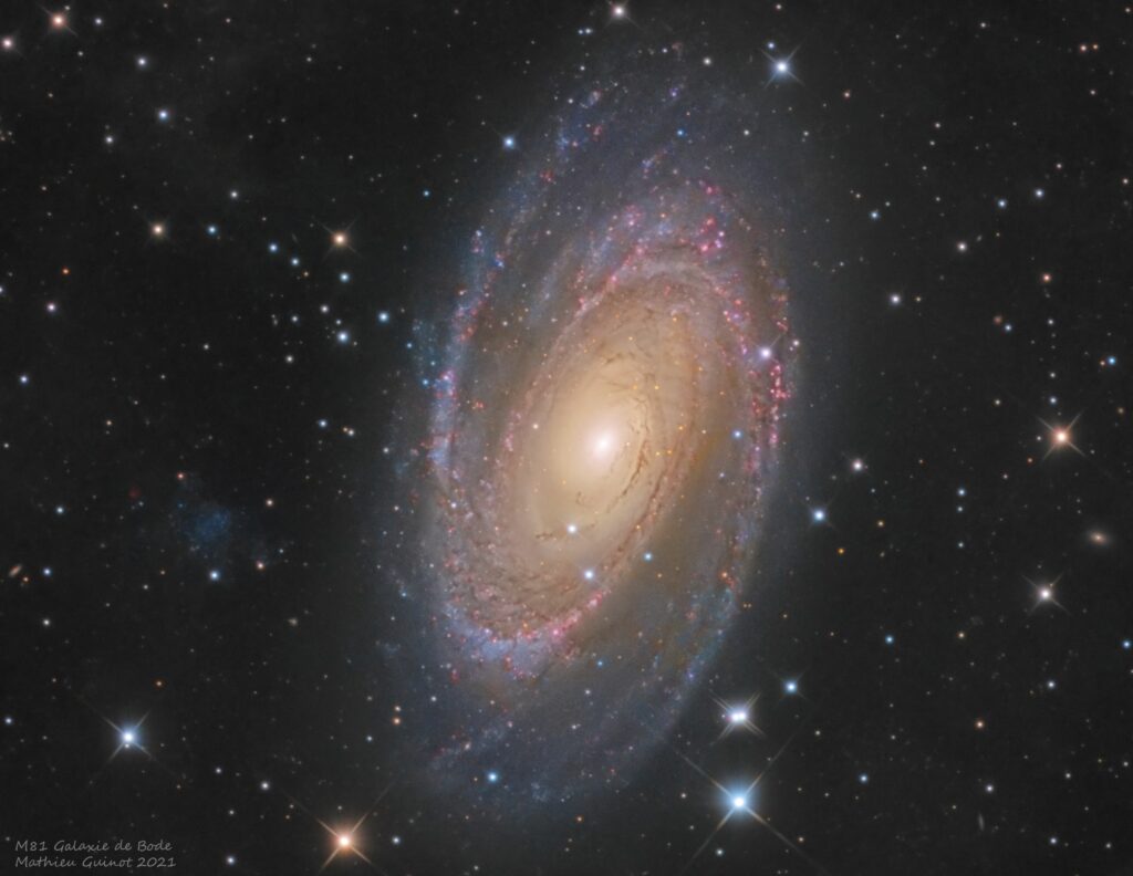 catalogue messier m81