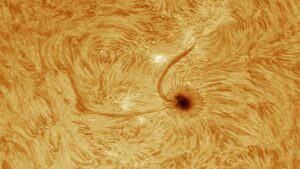 Dernières productions des membres de Avril 2025