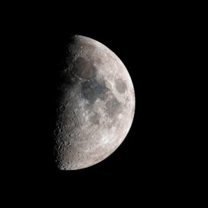 Dernières productions des membres de Avril 2025