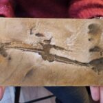 resultat_imprimante_3d