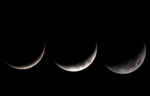 Dernières productions des membres de Mars 2026