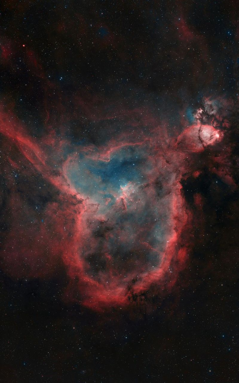 dernières productions des membres de février 2026